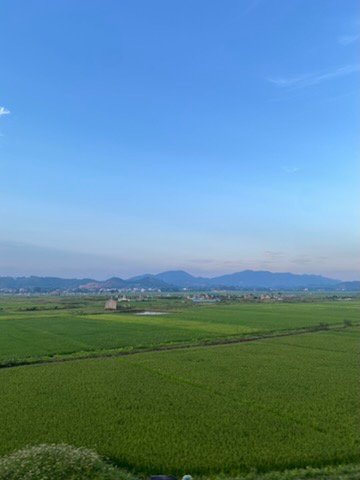 Alternativtext für Screenreader